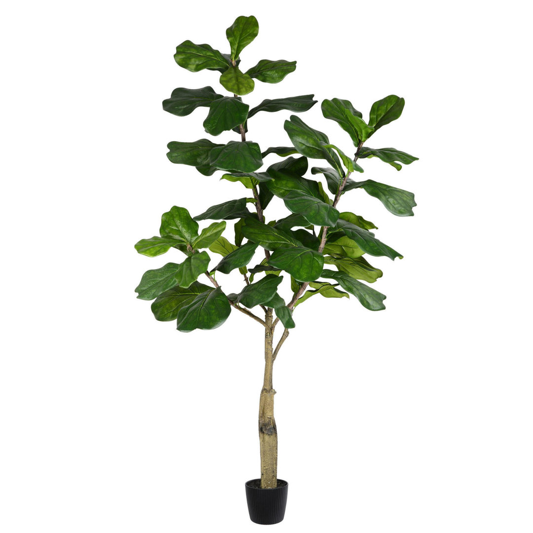 84" Fiddle Leaf Fig Tree in Pot